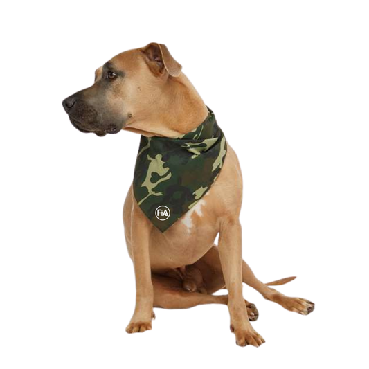 FiA Lifestyle - Pet Bandana