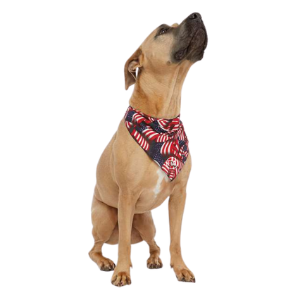 FiA Lifestyle - Pet Bandana