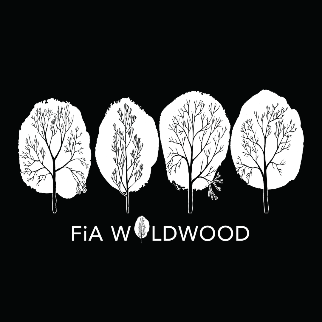 Region / AO logo: MO-Wildwood — web preview